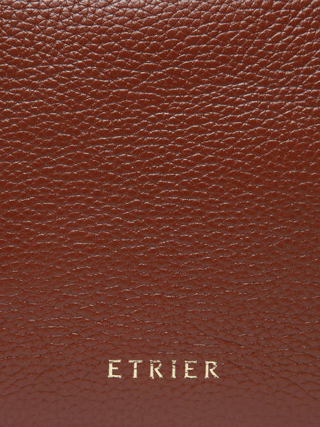 Small Leather Tradition Crossbody Bag Etrier Brown tradition ETRA059S other view 5