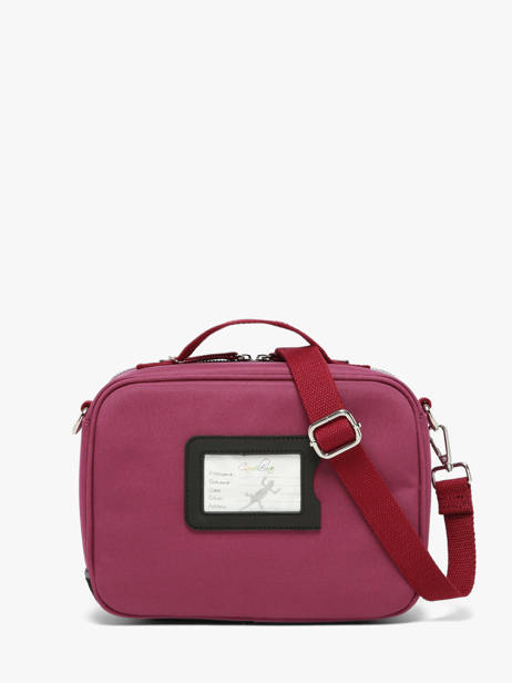Sac Gouter Vintage Fantasy Cameleon Violet vintage fantasy BL24 vue secondaire 5